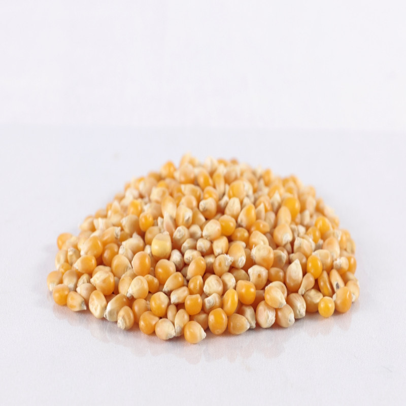 frutos secos Maíz palomitas