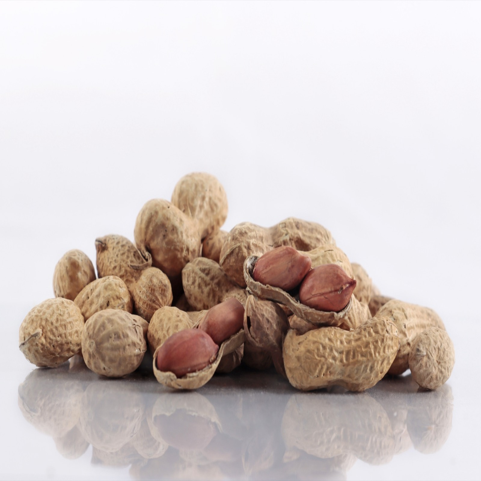 fruto seco Mani Cascara