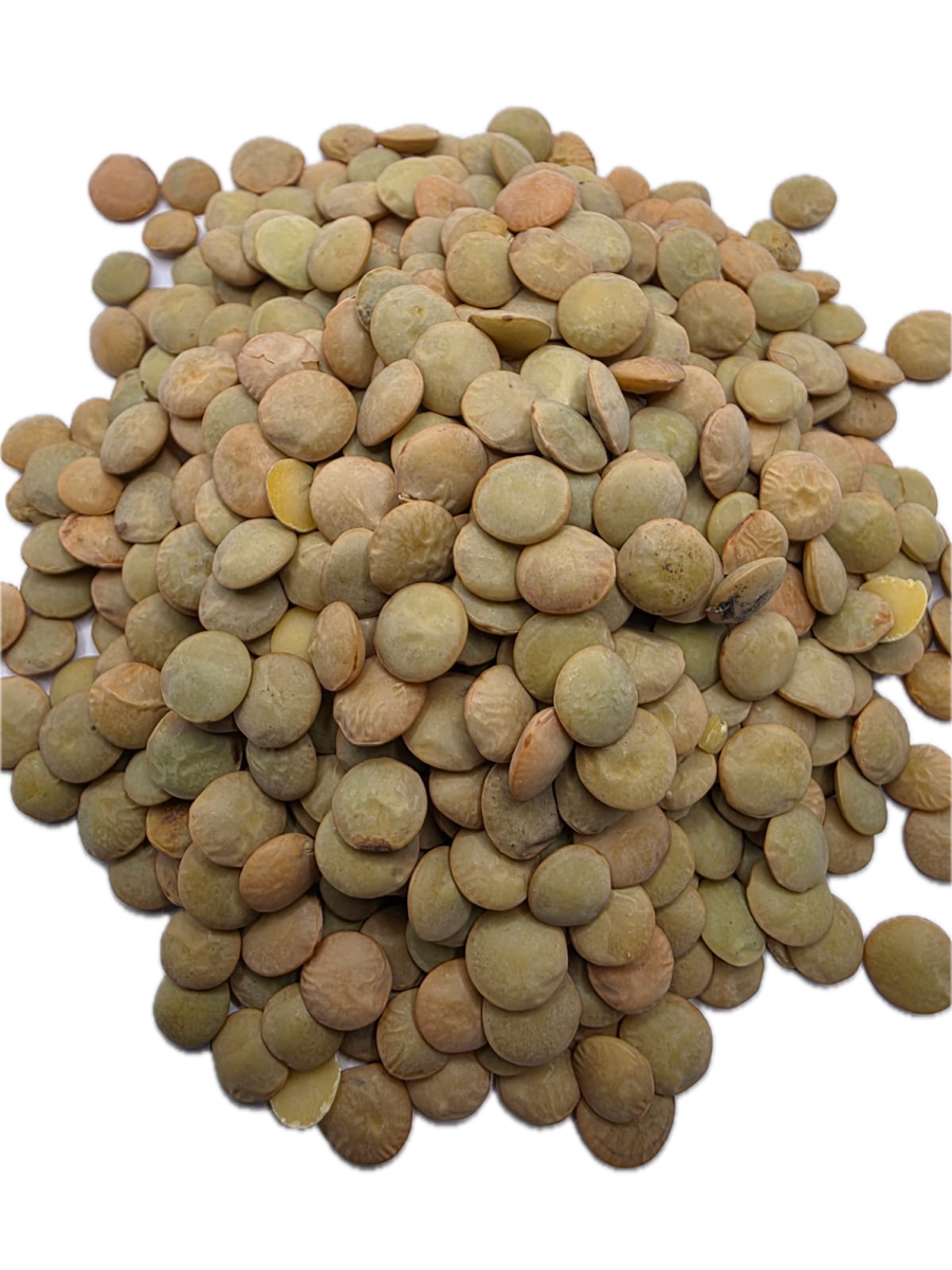 fruto seco Lentejas
